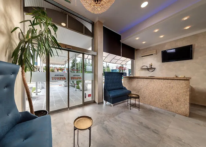 Avenue Hotel 2*